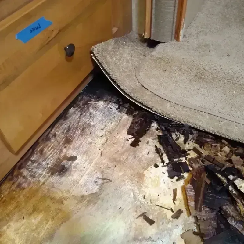 Wood Floor Water Damage in Luverne, AL